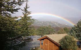 Centro Budista de Meditación Kadampa